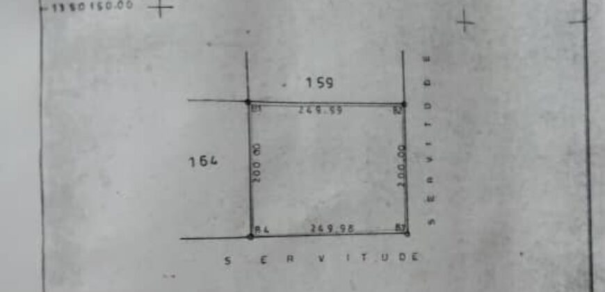 Champ agricole de 5 hectares à vendre – Diatoula, Sénou, Bamako