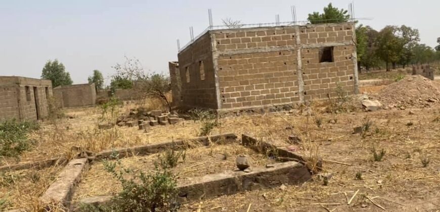 Deux terrains collés de 300 m² à vendre – Diatoula, Sénou, Bamako