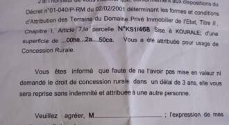 Terrains de 250 et 300 m² à vendre – Kouralé, près de Kabala