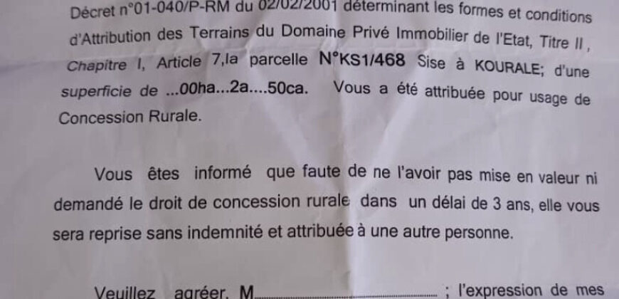 Terrains de 250 et 300 m² à vendre – Kouralé, près de Kabala