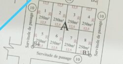 8 terrains collés de 250 m² à vendre – Cité SOTELMA, Samaya 8 terrains collés de 250 m² à vendre – Cité SOTELMA, Samaya