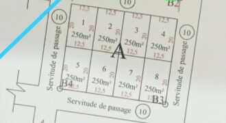 8 terrains collés de 250 m² à vendre – Cité SOTELMA, Samaya