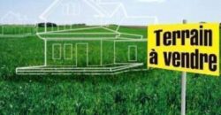 Champ de 10 hectares au bord du goudron à vendre – Kamalé Champ de 10 hectares au bord du goudron à vendre – Kamalé