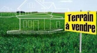Champ de 10 hectares au bord du goudron à vendre – Kamalé