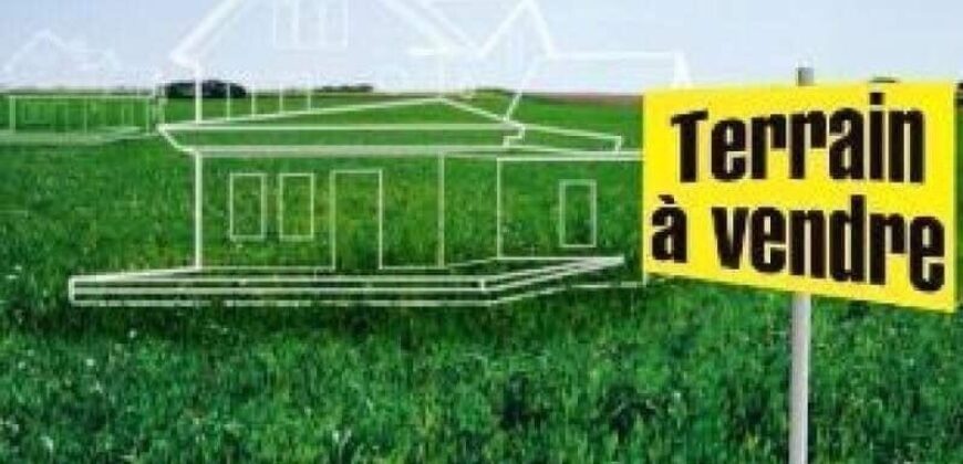 Champ de 10 hectares au bord du goudron à vendre – Kamalé