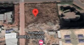 Terrain demi hectare à vendre ACI 2000