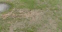 2 lots de terrains collés à vendre à Banankoro-cité des gendarmes 2 lots de terrains collés à vendre à Banankoro-cité des gendarmes