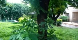 Villa avec piscine à louer à la Zone industrielle Villa avec piscine à louer à la Zone industrielle