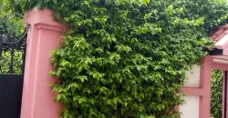 Maison en duplex à louer à la Cité du Niger Maison en duplex à louer à la Cité du Niger