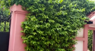 Villa duplex 5 chambres avec bureau à louer – Cité du Niger, Bamako