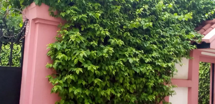 Villa duplex 5 chambres avec bureau à louer – Cité du Niger, Bamako