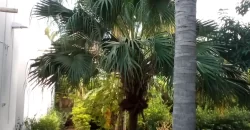 Villa semi meublée avec piscine à louer à Torokorobougou Villa semi meublée avec piscine à louer à Torokorobougou