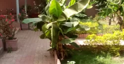 Villa à louer à Badalabougou Villa à louer à Badalabougou