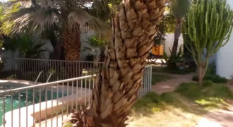 Villa 4 chambres avec piscine et jardin à louer – Torokorobougou