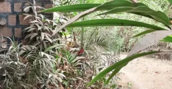 Villa avec piscine à louer à Badalabougou Villa avec piscine à louer à Badalabougou