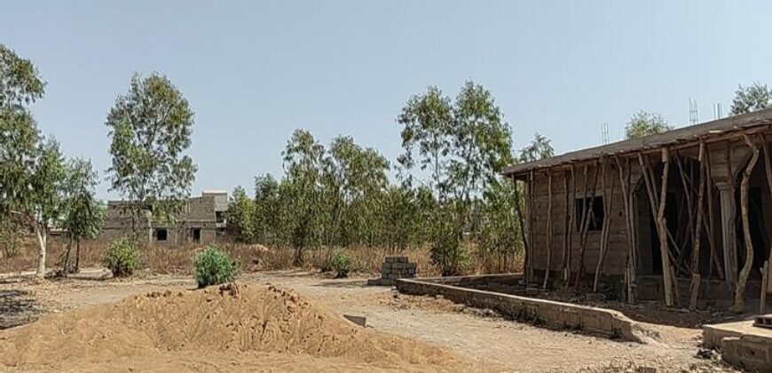 Parcelle de 300 m² en titre foncier à vendre – début de Kabala