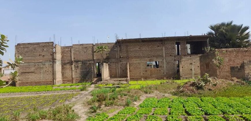 Terrain de 1.200 m² au bord du goudron à vendre – Sotuba ACI, Bamako