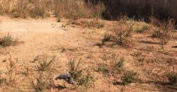Terrain de 300 m² en titre foncier à vendre – Kabala, Bamako Terrain de 300 m² en titre foncier à vendre – Kabala, Bamako