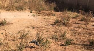 Terrain de 300 m² en titre foncier à vendre – Kabala, Bamako