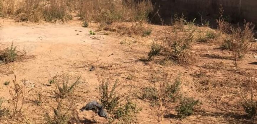 Terrain de 300 m² en titre foncier à vendre – Kabala, Bamako