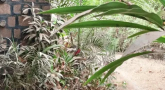 Villa 4 chambres avec piscine à louer – Badalabougou Est, Bamako