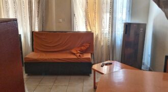 Appartement meublé 1 chambre à louer – Faso Kanu, Magnambougou