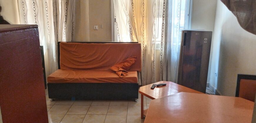 Appartement meublé 1 chambre à louer – Faso Kanu, Magnambougou