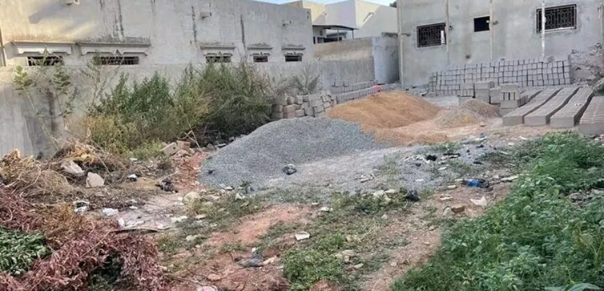 Terrain de 200 m² en titre foncier à vendre – Cité Tellem, Niamana