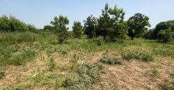 Terrains de 2 hectares en titre foncier à vendre – Samako, Katibougou Terrains de 2 hectares en titre foncier à vendre – Samako, Katibougou