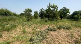 Terrains de 2 hectares en titre foncier à vendre – Samako, Katibougou