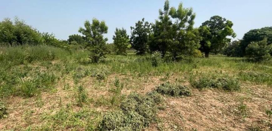 Terrains de 2 hectares en titre foncier à vendre – Samako, Katibougou