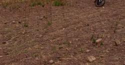 TERRAIN A VENDRE A SIKASSO TERRAIN A VENDRE A SIKASSO