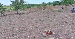 TERRAIN A VENDRE A SIKASSO TERRAIN A VENDRE A SIKASSO