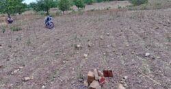 TERRAIN A VENDRE A SIKASSO TERRAIN A VENDRE A SIKASSO