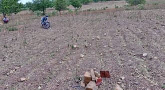 Terrain de 300 m² à vendre – Bankoni, Sikasso