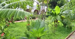 Villa avec piscine à louer à l’hippodrome Villa avec piscine à louer à l’hippodrome