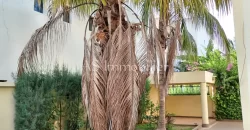 Villa avec piscine à louer à la Cité du Niger Villa avec piscine à louer à la Cité du Niger