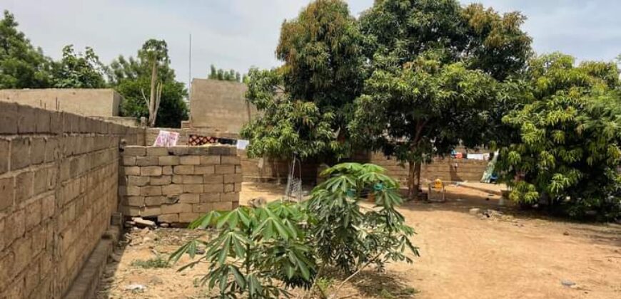 Cour clôturée de 400 m² à vendre – Niamana, Bamako
