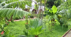 Villa 5 chambres avec piscine et jardin à louer – Hippodrome, Bamako Villa 5 chambres avec piscine et jardin à louer – Hippodrome, Bamako