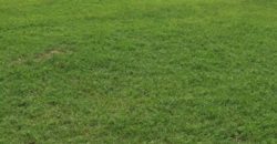 30 Titres fonciers à vendre à Diatoula Cité de la Paix 30 Titres fonciers à vendre à Diatoula Cité de la Paix