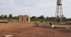 Champ de 5 hectares planté avec enclos à vendre – Sanankoroba Champ de 5 hectares planté avec enclos à vendre – Sanankoroba