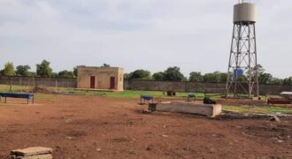 Champ de 5 hectares planté avec enclos à vendre – Sanankoroba