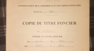 Deux terrains collés en titre foncier à vendre – Katibougou Samako