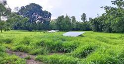 CHAMP À VENDRE À MORIBABOUGOU CHAMP À VENDRE À MORIBABOUGOU