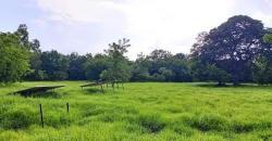 CHAMP À VENDRE À MORIBABOUGOU CHAMP À VENDRE À MORIBABOUGOU