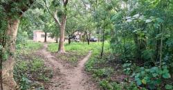 CHAMP À VENDRE À MORIBABOUGOU CHAMP À VENDRE À MORIBABOUGOU