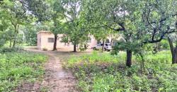 CHAMP À VENDRE À MORIBABOUGOU CHAMP À VENDRE À MORIBABOUGOU