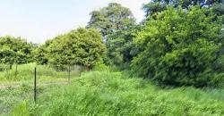 CHAMP À VENDRE À MORIBABOUGOU CHAMP À VENDRE À MORIBABOUGOU