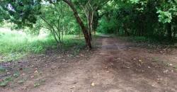 CHAMP À VENDRE À MORIBABOUGOU CHAMP À VENDRE À MORIBABOUGOU