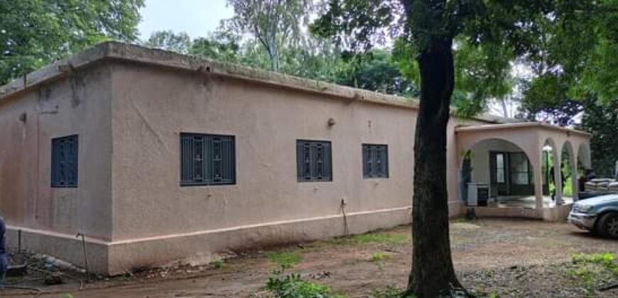 Champ de 7 hectares clôturé avec villa et orangeraie à vendre – Moribabougou